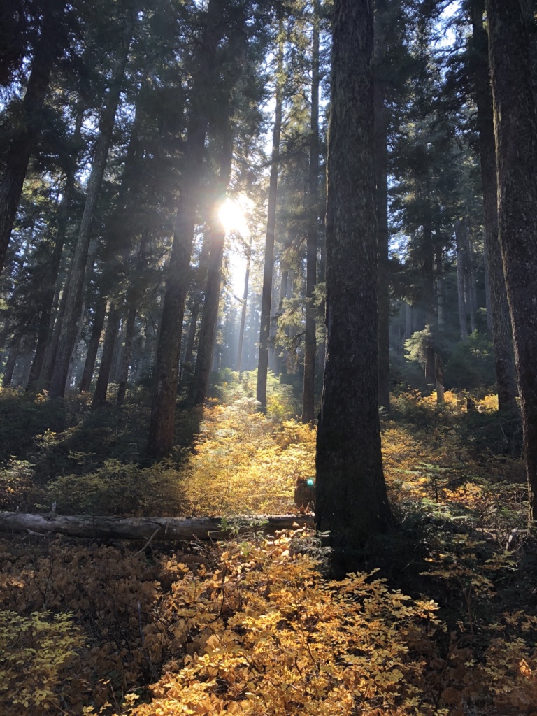 McNeil Point Trail