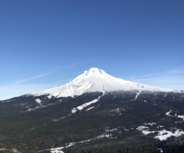 mthood1