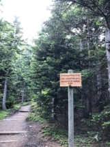 Climbing Mount Saint Helens begins on the Ptarmigan Trail.