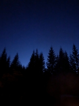 View of the night sky from Climber's Bivouac the night before I climbed Mount Saint Helens.