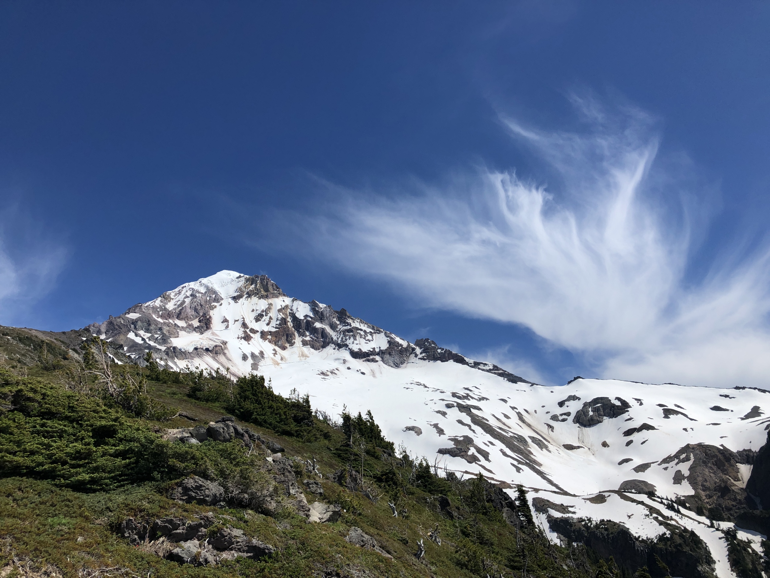 View of Mount Hood from McNeil Point