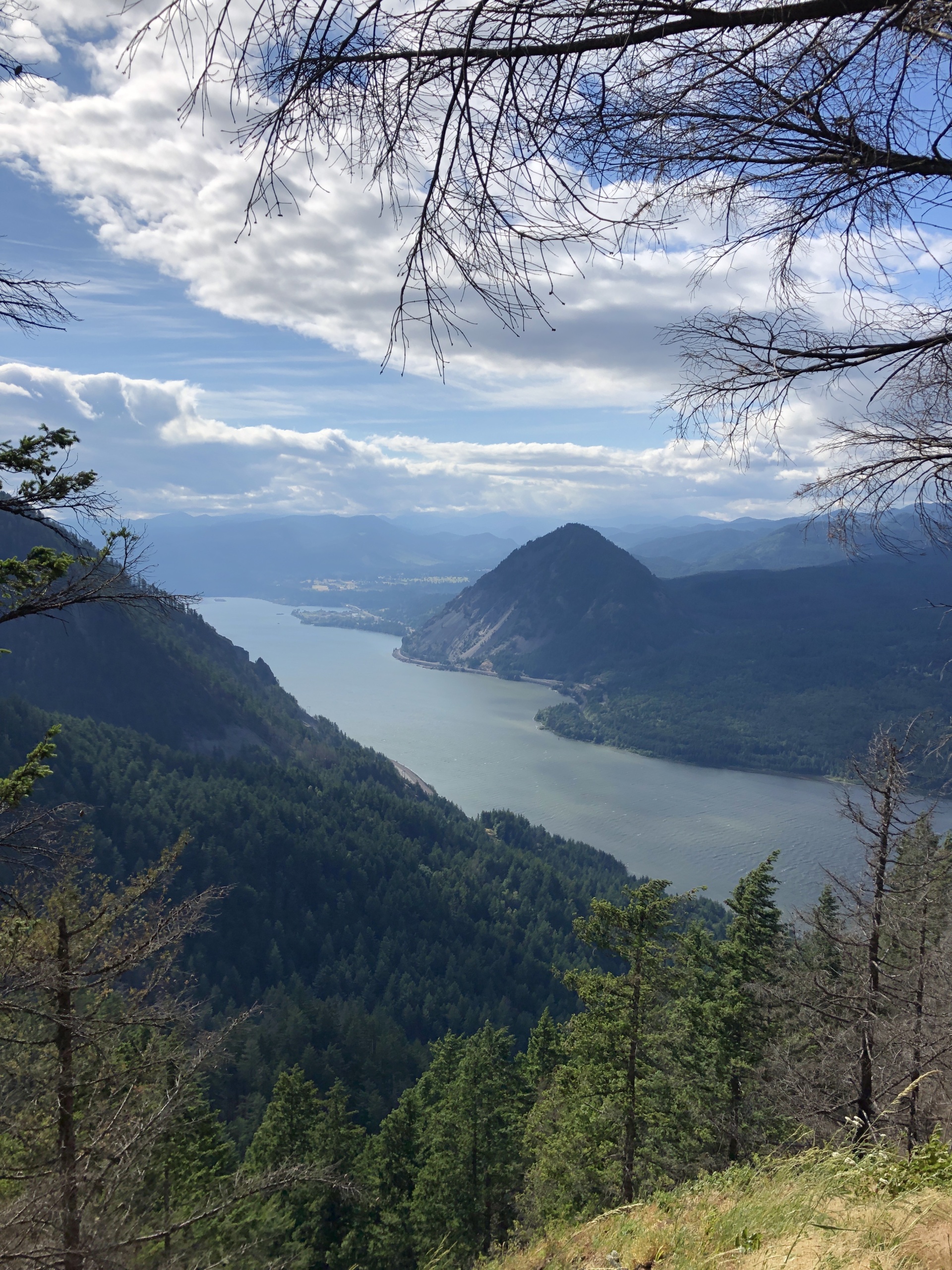 View of the Columbia River from the Mount Defiance trail