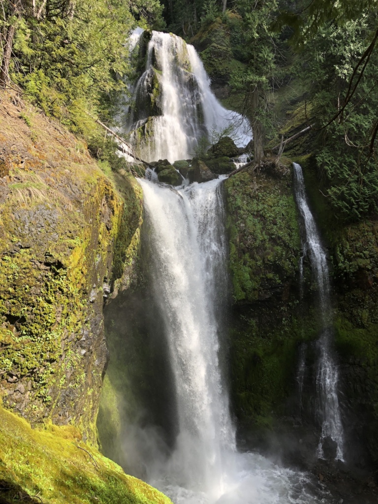 Photo of Falls Creek Falls waterfall in Gifford Pinchot National Forest