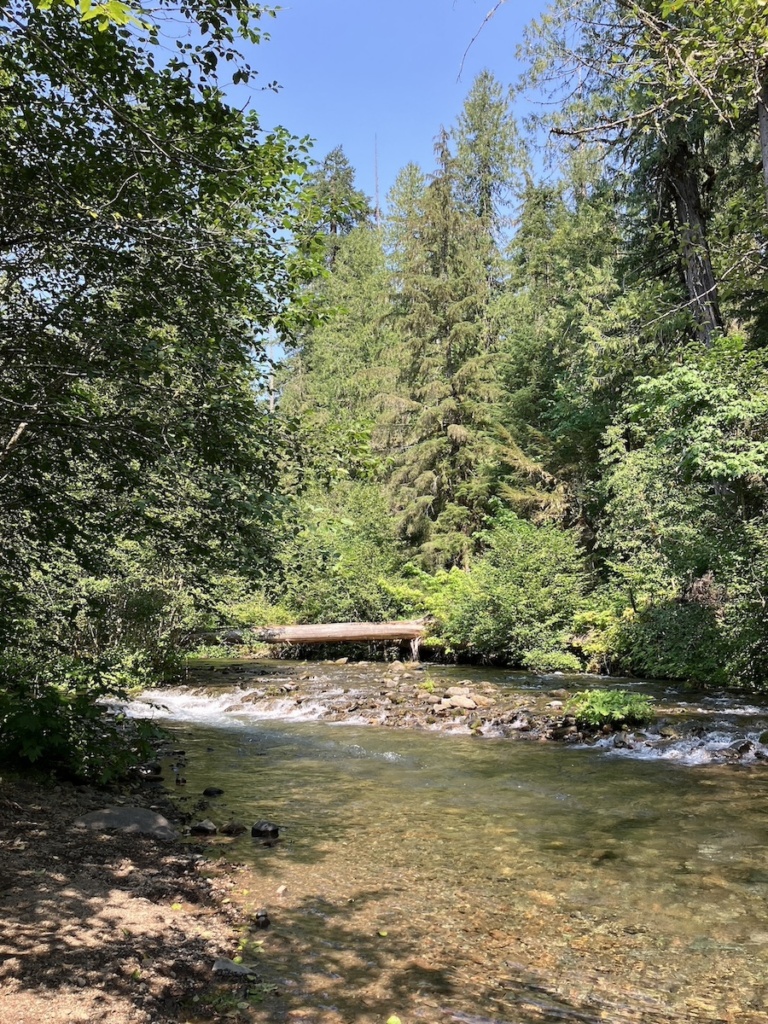 Photo of panther creek surrounded by trees